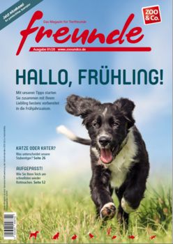 Alles für Tiere Freundemagazin 1 2020